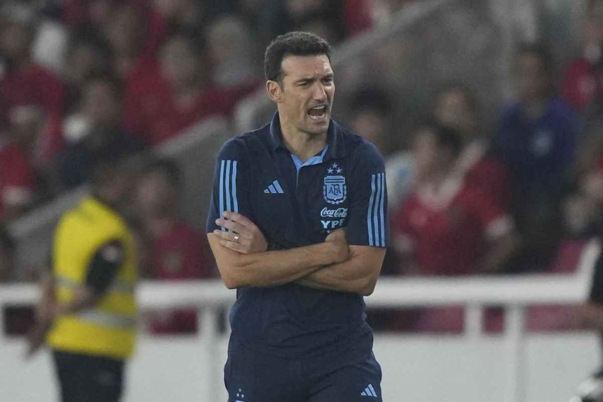 scaloni argentina