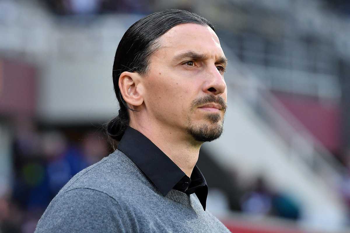 Zlatan Ibrahimovic concentrato